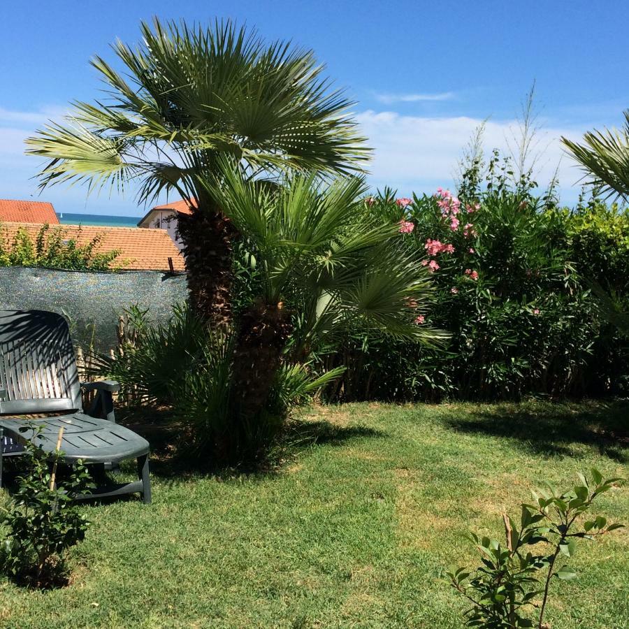 Casa "La Conchiglia" Bed & Breakfast Civitanova Marche Luaran gambar
