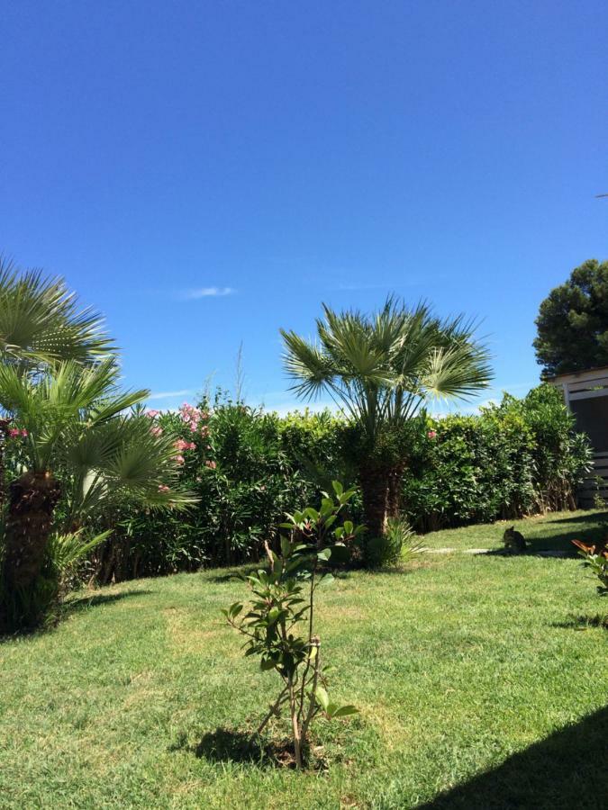 Casa "La Conchiglia" Bed & Breakfast Civitanova Marche Luaran gambar