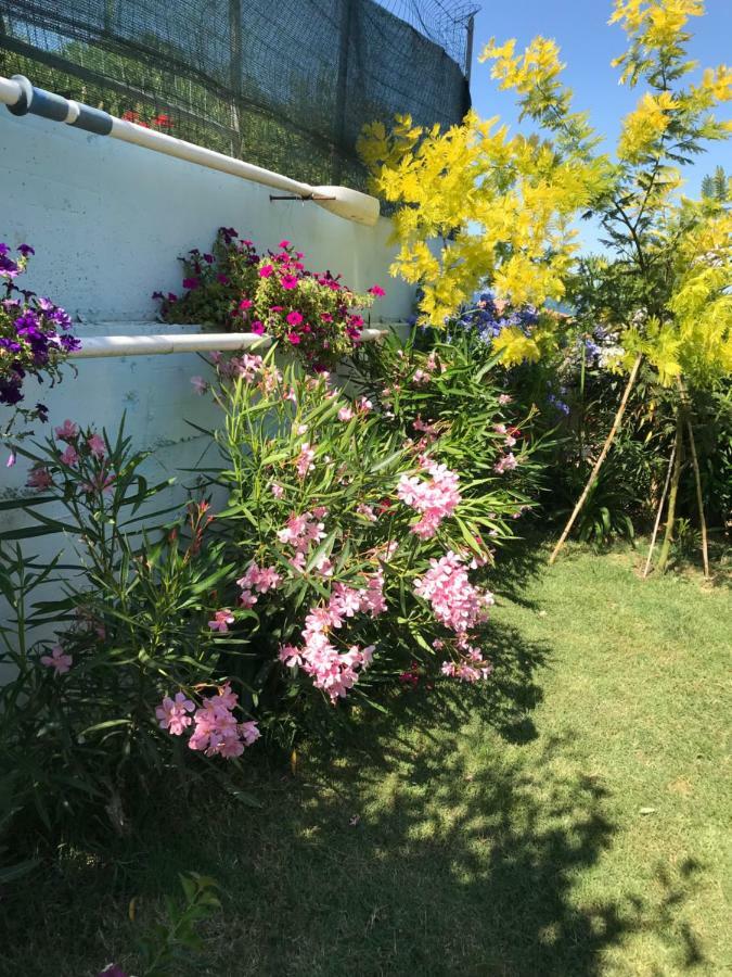 Casa "La Conchiglia" Bed & Breakfast Civitanova Marche Luaran gambar